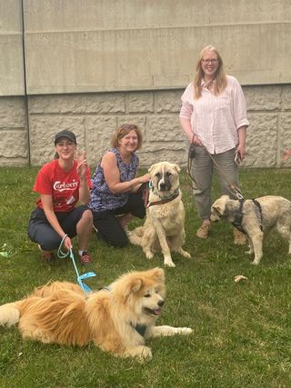 Hugo, Mika and Rosy safely arrived in Canada